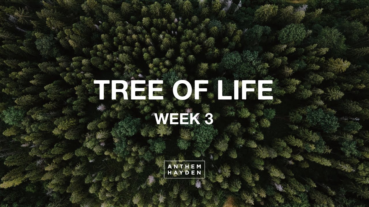 All Videos
