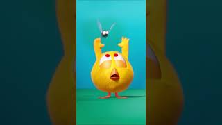 Dont Get Upset Chicky Cartoon In English For Kids