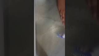 5 Maneiras De Bater Bafão