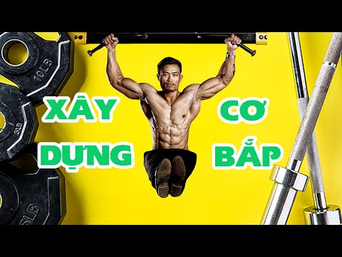 XÂY DỰNG CƠ BẮP THÌ CẦN QUAN TÂM ĐIỀU GÌ??? | LMS - Giảm Béo Chuẩn Y Khoa