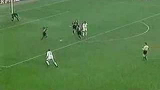 ZgO_OFP3phY Video Image