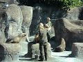Zoo Denmark