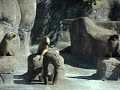 Zoo Denmark