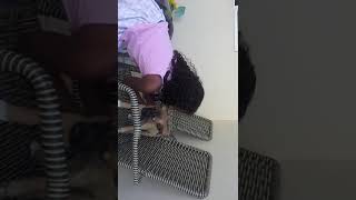 Primeiro Video Do C Pegando Minha Cachorrinha Na Escola