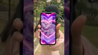 Vid6