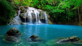 Meditation Music Relax Mind Body Relaxing Music Slow Music Background Music Meditation Music Relax Mind Body Relaxing Music Slow Music Background Music