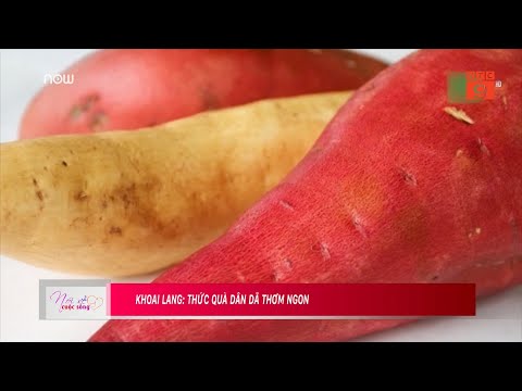 ĂN KHOAI LANG ĐÚNG CÁCH ĐỂ GIẢM MỠ THỪA, LÀM ĐẸP DA HIỆU QUẢ I VTC9