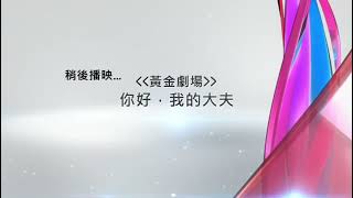 美國版Tvbe節目預告你好,我的大夫及台徽開場
