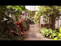 World's Most Beautiful Garden Cinematic Video! Longwood Gardens