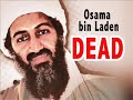 polski bin laden