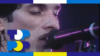 Mink Deville - You Better Move On (Live) (1985) • Toppop