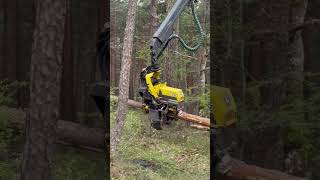 “Challenging The Forest:john Deere 1270 Harvester Effortlessly Removing Tree “ #Johndeere #Viral