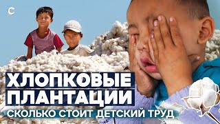 Рабы Плантаций. Тайная История Хлопководства В Узбекистане