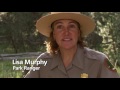 Yosemite Nature Notes - 19 - Night Skies 1080p