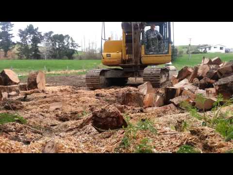 forex log and lumber