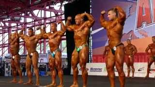 1St Group Compulsory - 2Nd Round - Prejudging - Over 100Kg - Arnold Amateur Europe 2014