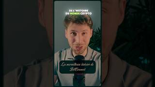 La Merveilleuse Histoire De Bitconnect