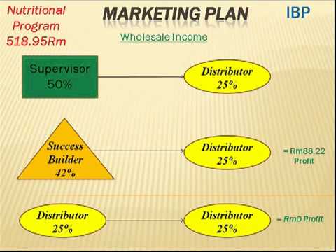 Amway business plan presentation ppt