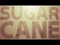 Shaggy - Sugarcane (2011)
