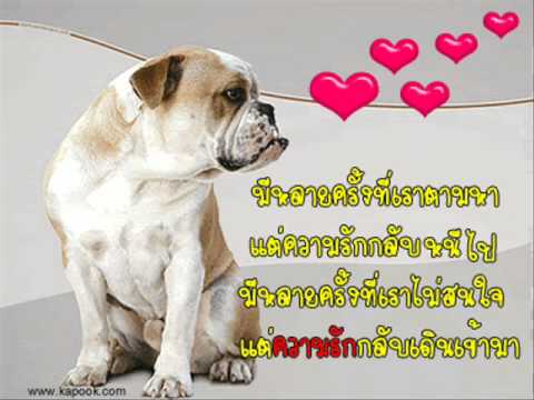 คิดมาก - Venus Butterfly.wmv thumb