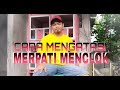 CARA MENGATASI MERPATI MENCLOKAN/NEMPLOK