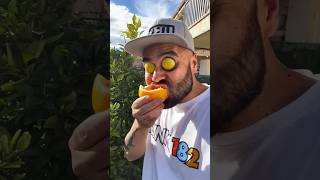 Want To Try My Oranges?