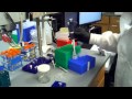 phenol chloroform extraction part 1