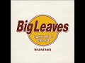 Sly Alibi - Big Leaves