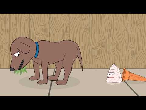 poop a short story poop a short story