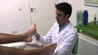 Fascitis+plantar+vs.+espol%c3%b3n+calc%c3%a1neo.+Ejercicios+y+estiramientos.