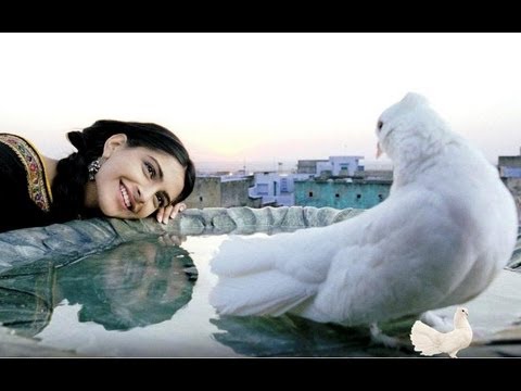 Rehna Tu Full Song | Delhi 6 | Abhishek Bachchan Sonam Kapoor...