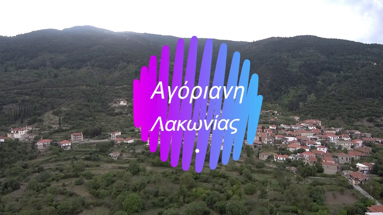 United Themes Shortcode Plugin