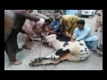 Eid ul azha qurbani