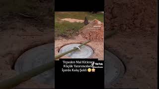 Tavandan Kitlenen Hisselerle Hareket Edemeyecek Duruma Geldik Ama Olsun