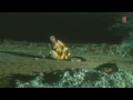 image Mere Munne Bhool Na Jana Female Song Doodh Ka Karz