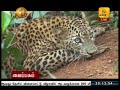 Shakthi News 23/09/2017