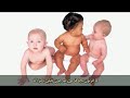 دنیل دنت: بامزه سکسی شیرین خندهدار