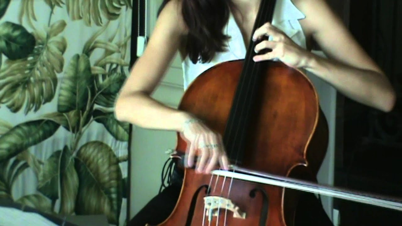 Moonlight violino фото цветов Moonlight violino фото цветов