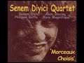 Senem Diyici Quartet - Dolama Dolamayı