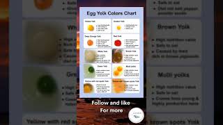 Egg Yolk Color Chart