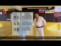 Tai Chi Master Wang Zhanhai vs Judo