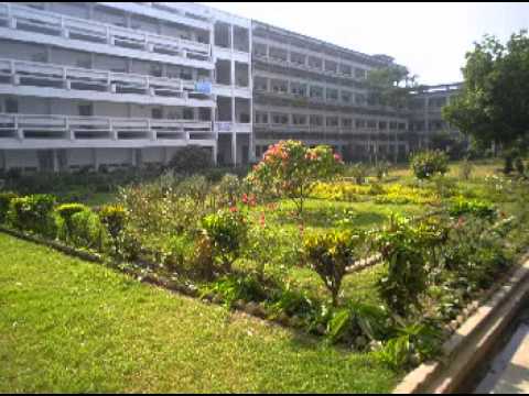 Campus Rajshahi University (Topu & Laitey)