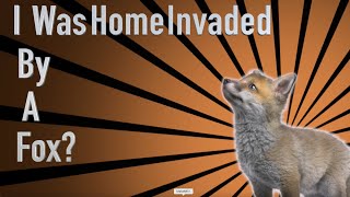 🦊 I Was Home Invaded...By a Fox?