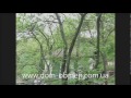 Video Дачный участок на Татарке (Киев)