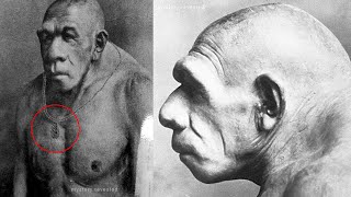 अगर आप हनुमानजी को नही मानते तो ये विडियो मत देखिये ! Hidden Fact Of Lord Hanuman !