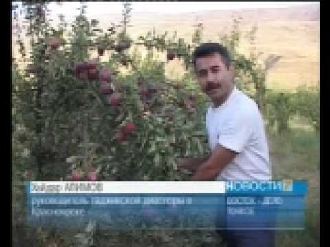 Обозначение цветок лилиями Обозначение цветок лилиями