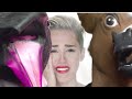 Miley Cyrus Wrecking Ball Uncut Footage images Miley Cyrus Wrecking Ball Uncut Footage