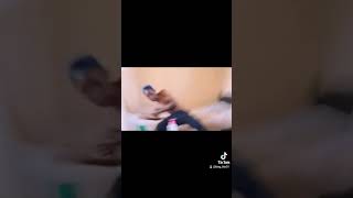 Murife Dont Run