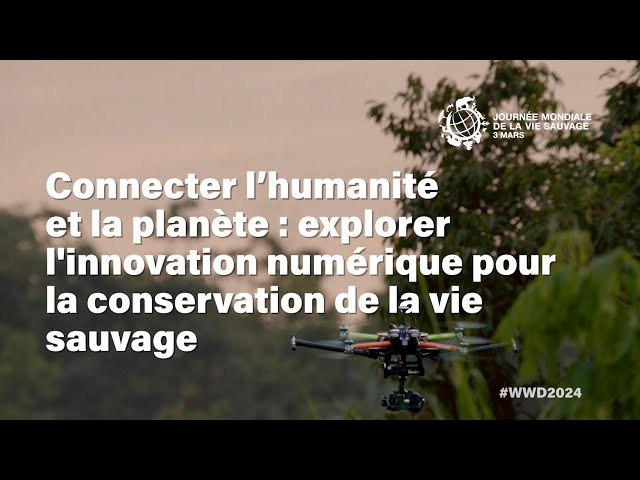 Watch Connecter l'humanité et la planète : explorer l'innovation numérique pour la conservation... on YouTube.