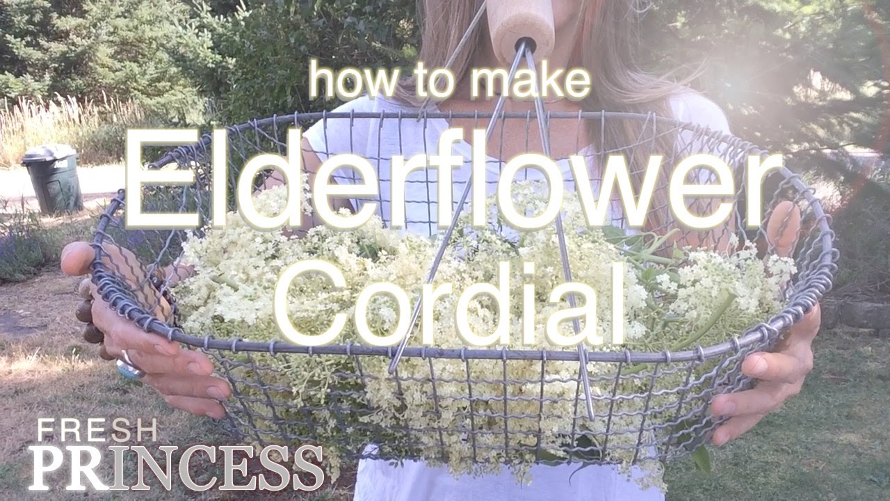 How to Make Elderflower Cordial forecast How to Make Elderflower Cordial recommend
